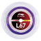 Струна для бадминтона Li-Ning L67 0,67мм Пурпурная (200м) AXJV005-28