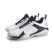 Кроссовки мужские для бадминтона Li-Ning Shadow V 2020 (белые)