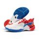 Кроссовки для бадминтона Li-Ning Blade DF-01 MAX (бело-сине-красные)