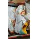 Кроссовки мужские для бадминтона Li-Ning Ranger V (бело-оранжевые)