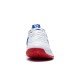 Кроссовки для бадминтона Li-Ning Protector 4.0 (бело-синие)