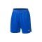 Шорты мужские для бадминтона (синие) Li-NING AAPP029-2