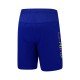 Шорты мужские для бадминтона (синие) Li-NING AAPT061-3