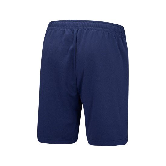 Шорты мужские для бадминтона (синие) Li-NING AAPU133-4