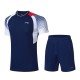 Комплект мужской шорты с футболкой (синий белый) Li-NING AATP019-3