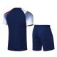 Комплект мужской шорты с футболкой (синий белый) Li-NING AATP019-3