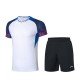 Комплект мужской шорты с футболкой (белый синий) Li-NING AATQ023-3