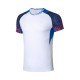 Комплект мужской шорты с футболкой (белый синий) Li-NING AATQ023-3