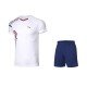 Комплект мужской шорты с футболкой (белый синий) Li-NING AATQ087-3