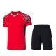 Комплект мужской шорты с футболкой (красный черный) Li-NING AATR003-2