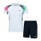 Комплект мужской шорты с футболкой (белый) Li-NING AATR045-2
